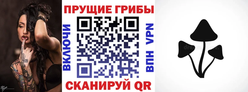 Галлюциногенные грибы Cubensis  Бахчисарай 